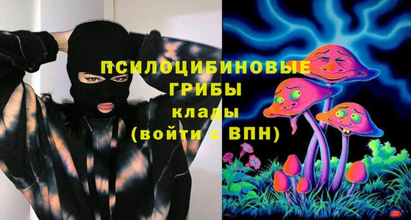 МДПВ Верхний Тагил